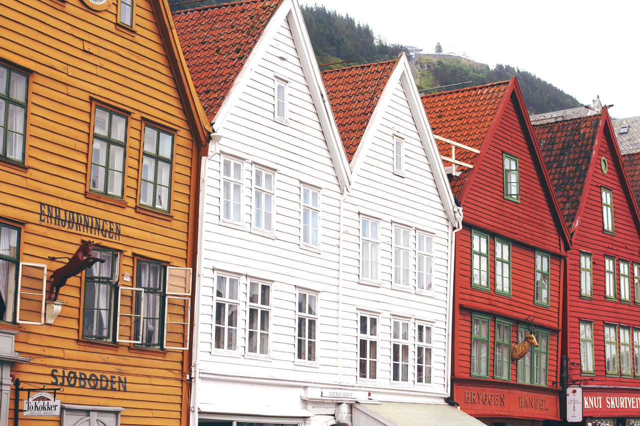 The Bergen Guide
